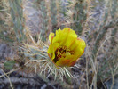 photo thumbnail #5