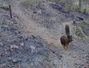 photo thumbnail #7