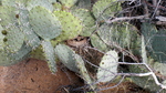 photo thumbnail #15