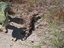 photo thumbnail #7