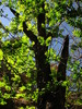 photo thumbnail #12