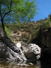 photo thumbnail #13