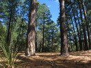 photo thumbnail #7