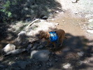 photo thumbnail #1