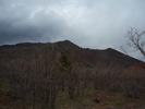 recent photo