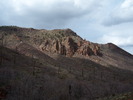 recent photo