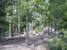 photo thumbnail #9