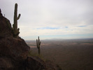 photo thumbnail #5