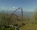 photo thumbnail #12