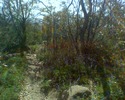 photo thumbnail #13