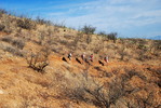 photo thumbnail #3
