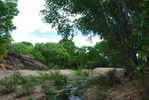 photo thumbnail #8