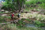 photo thumbnail #9