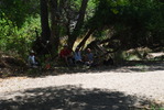 photo thumbnail #10