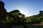 photo thumbnail #7