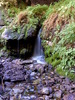 photo thumbnail #13