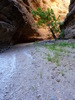 photo thumbnail #14
