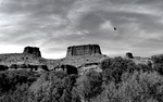 photo thumbnail #15