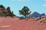 photo thumbnail #11