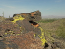 photo thumbnail #3