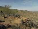 photo thumbnail #4