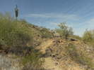 photo thumbnail #9