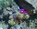 photo thumbnail #5