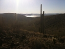 photo thumbnail #3