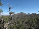 photo thumbnail #7