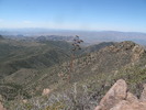 photo thumbnail #9
