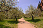 photo thumbnail #3