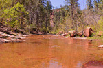 photo thumbnail #8