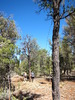 photo thumbnail #5