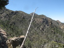 photo thumbnail #7