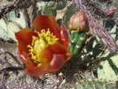 photo thumbnail #1