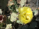 photo thumbnail #2