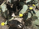 photo thumbnail #3