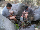 photo thumbnail #3