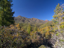photo thumbnail #6
