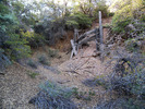photo thumbnail #7