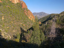 photo thumbnail #10