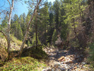 photo thumbnail #15