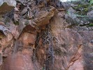 photo thumbnail #7