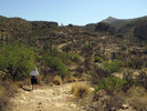 photo thumbnail #2