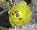 photo thumbnail #4