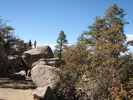 photo thumbnail #12