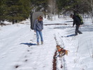 photo thumbnail #1