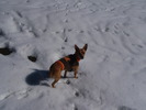 photo thumbnail #9