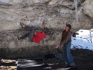 photo thumbnail #12