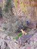 photo thumbnail #4